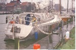 Schorpioen als Rosa, December 1993